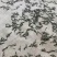 石菖蒲，长期大量提供，寻实力大商户，标准大货