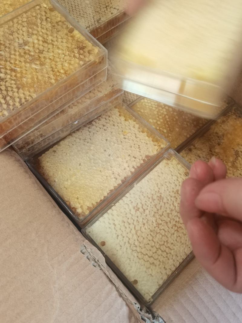 蜂巢蜜，跑江湖展销会赶集地摊，一手批发，量大从优