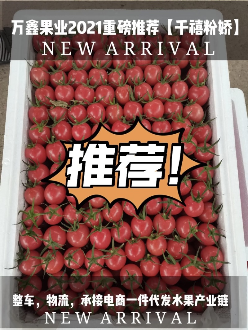 广西产嫁接千禧，口感甜，糖度12个左右，货源充足