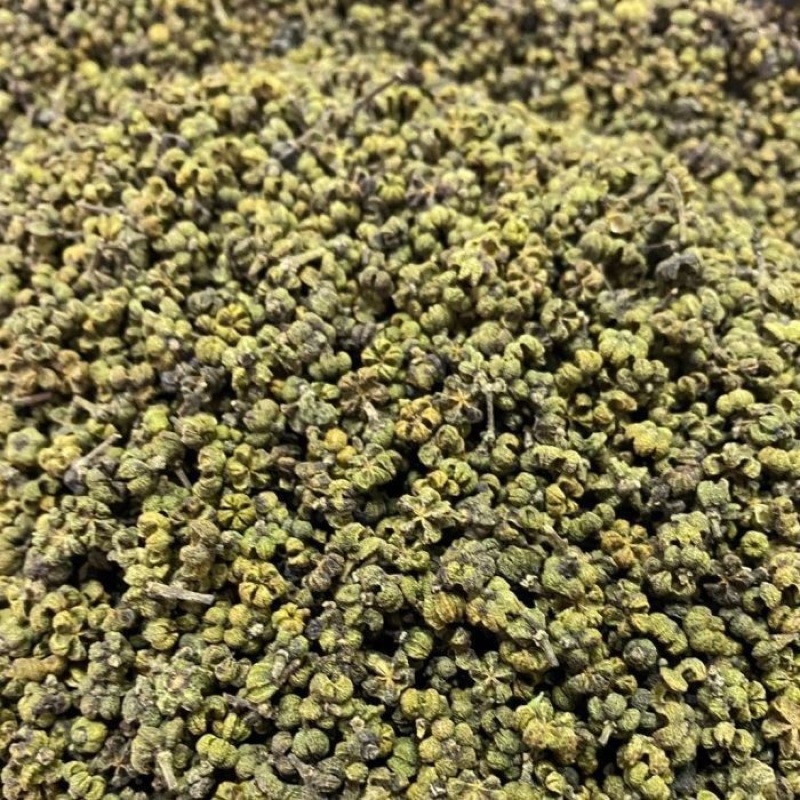 中药材吴茱萸干净无杂货品质量保证批发各种中药材