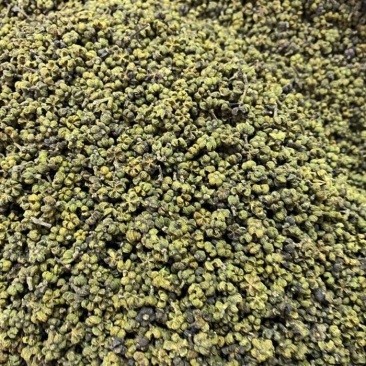 中药材吴茱萸干净无杂货品质量保证批发各种中药材