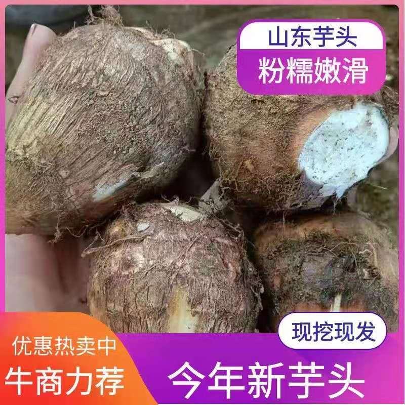 芋头山东8520芋头大量批发电商商超供货大中小球