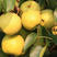 【砀山梨】精品酥梨，产地供应.新鲜采摘水果电商超