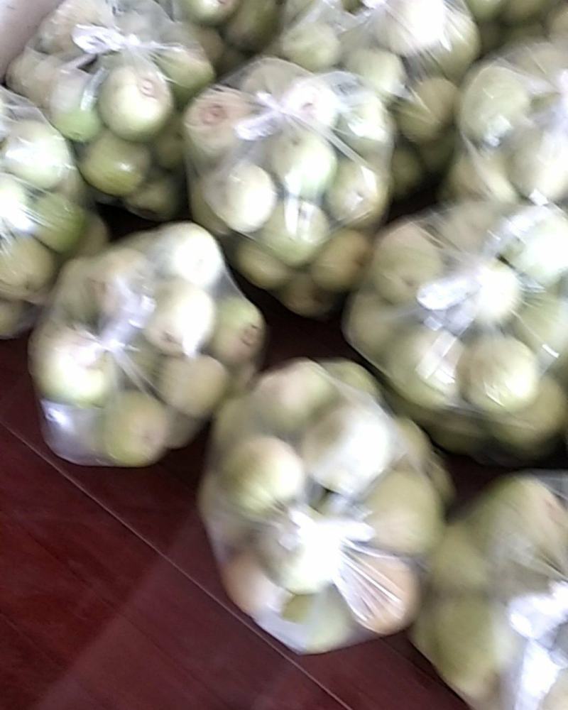 青香瓜
