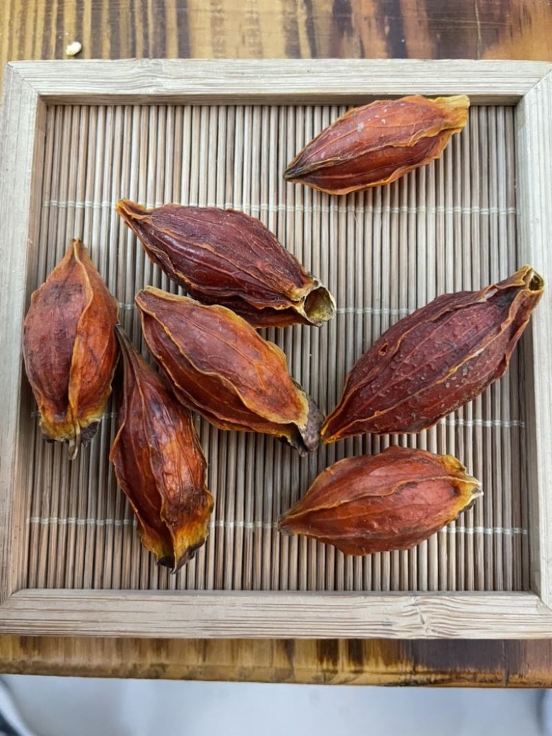 精品栀子、栀子、栀子果、干货香料，花茶栀子。