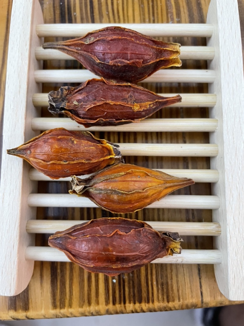 精品栀子、栀子、栀子果、干货香料，花茶栀子。