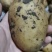 土豆大量供应