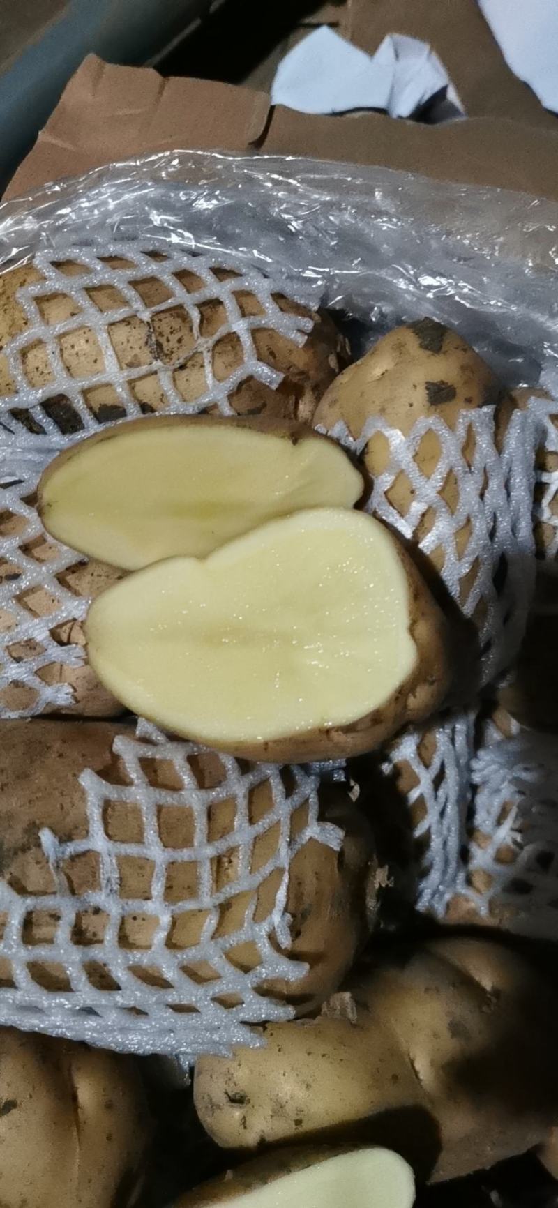 土豆大量供应