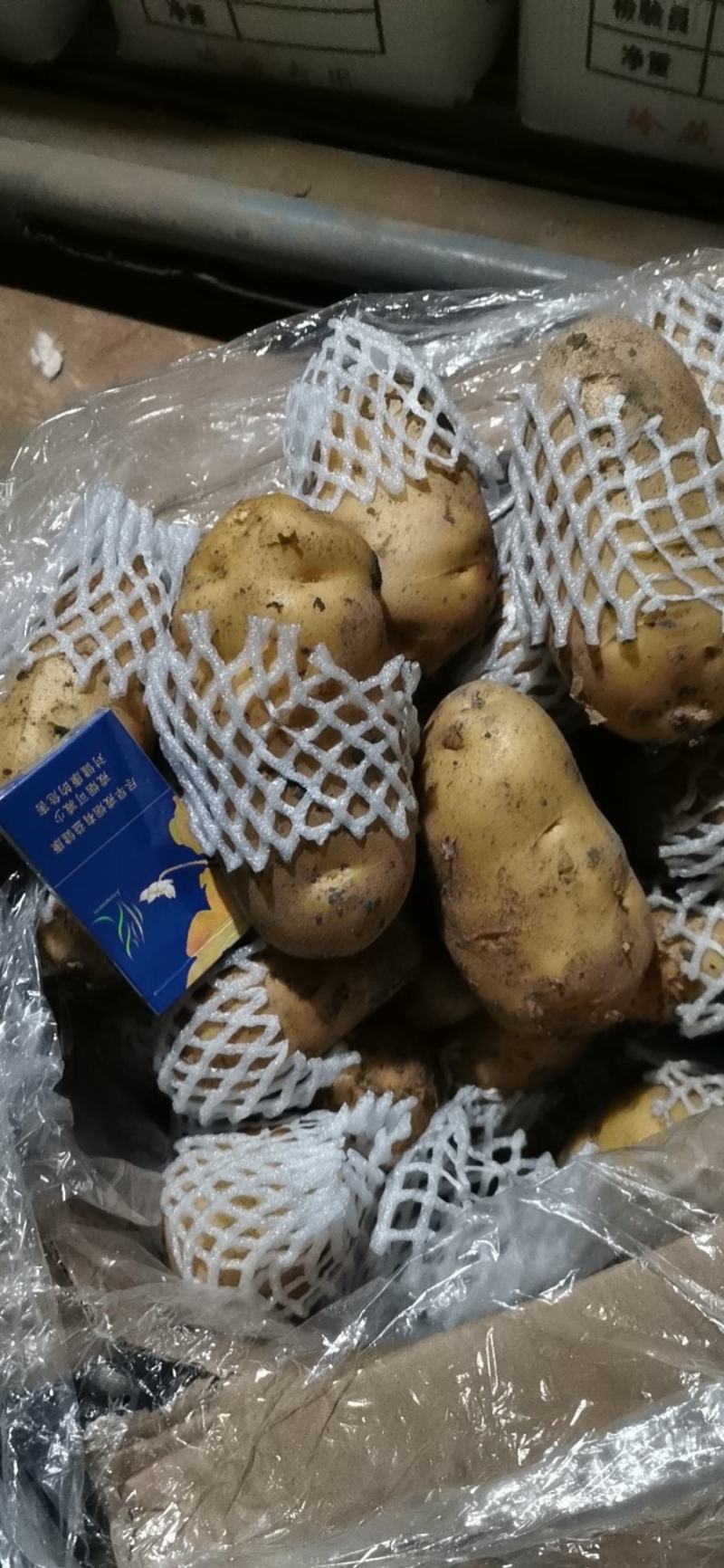 土豆大量供应
