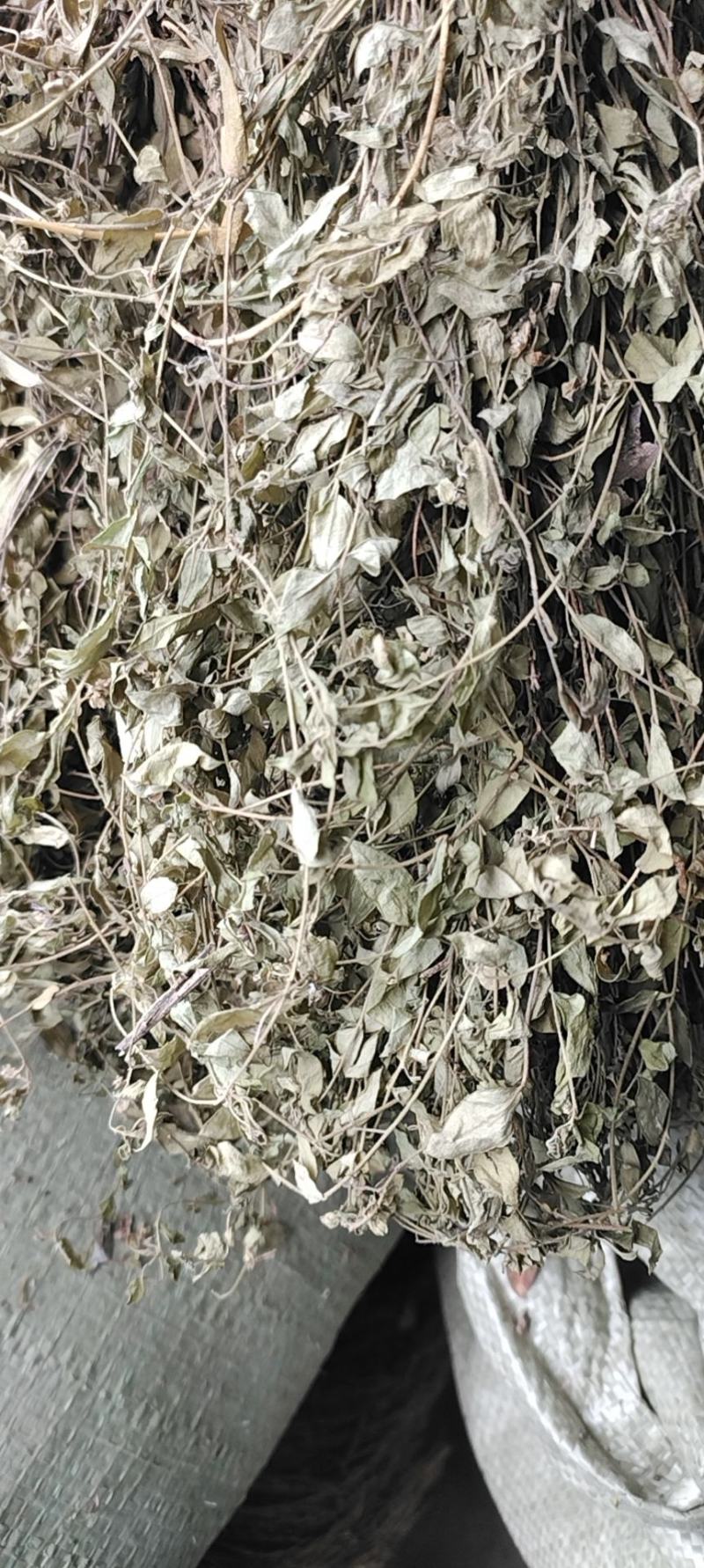 瓜子金草干品辰砂草二月花惊风草金来马回野生中药草