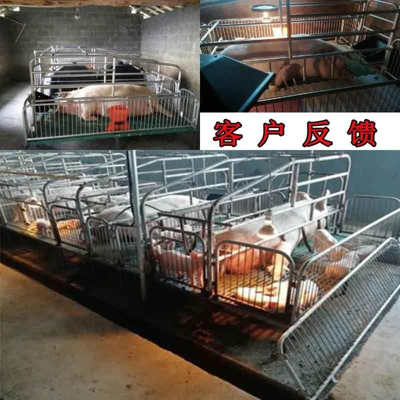 母猪产床双体单体国标2.5养猪设备定位栏保育床加厚2.2