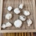 优品山柰、精品山柰、沙奈、无硫干货、调料
