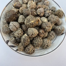 精品草寇、草寇、草豆蔻、调味料、原色无硫。