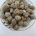 精品草寇、草寇、草豆蔻、调味料、原色无硫。