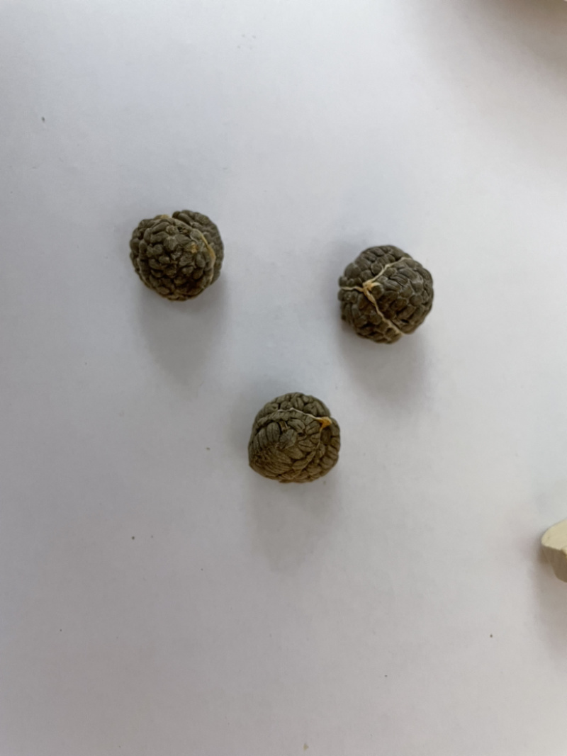 精品草寇、草寇、草豆蔻、调味料、原色无硫。