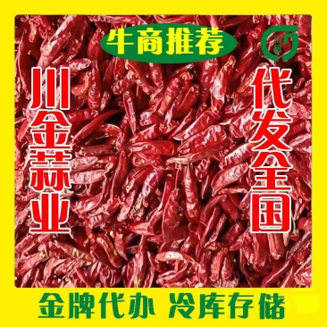 山东省金乡县川金大蒜公司(专业团队购销干鲜辣椒冷库存储）