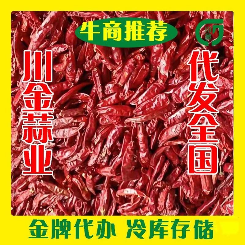 山东省金乡县川金大蒜公司(专业团队购销干鲜辣椒冷库存储）
