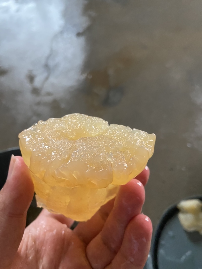 菊花海蜇头，菊花头海蜇头，墨西哥，酒店市场，大量走货