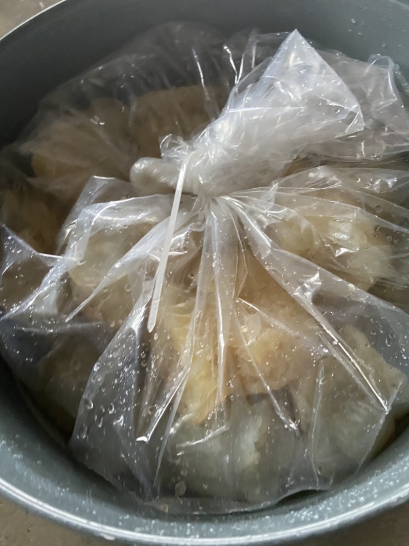 菊花海蜇头，菊花头海蜇头，墨西哥，酒店市场，大量走货