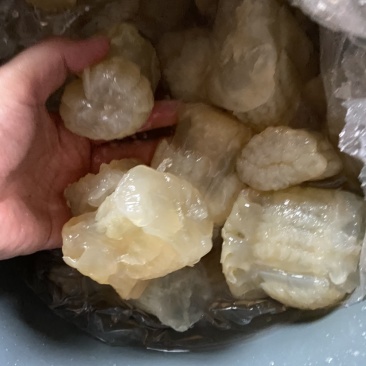 菊花海蜇头，菊花头海蜇头，墨西哥，酒店市场，大量走货