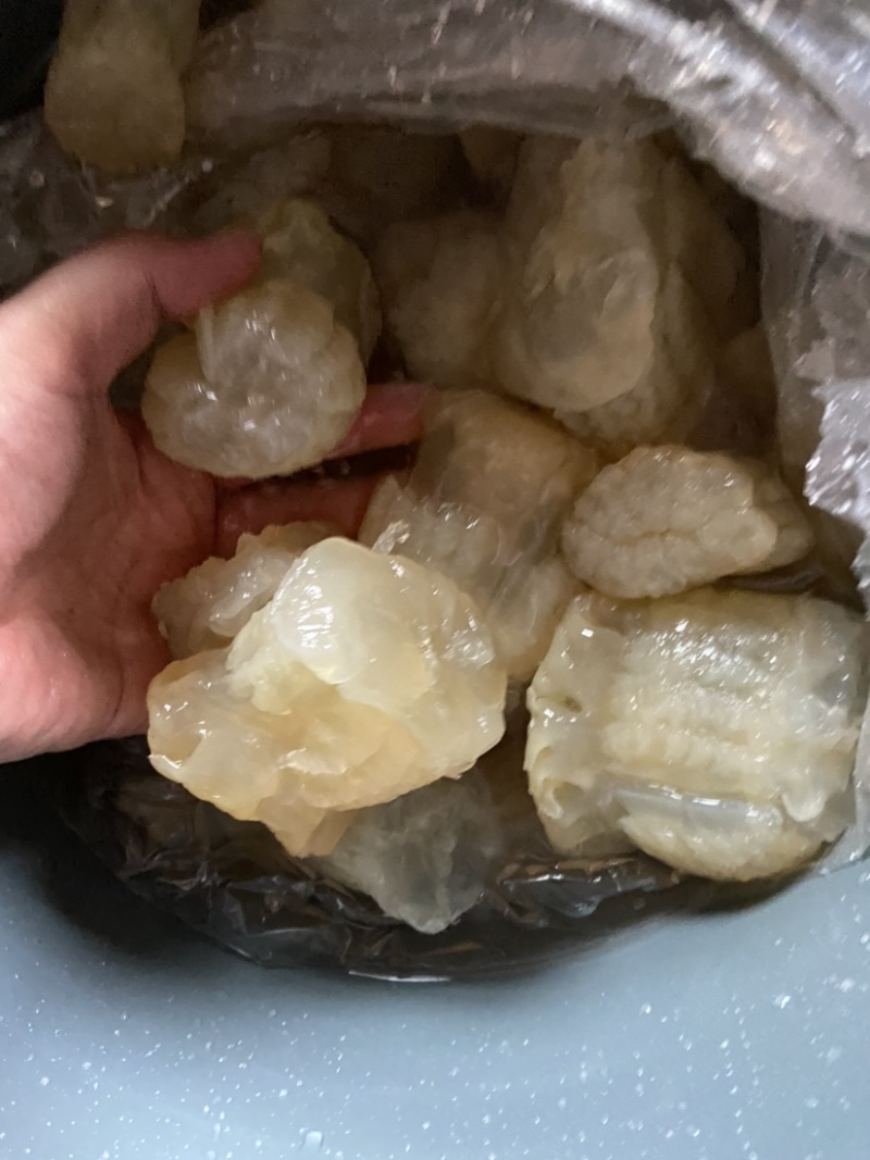 菊花海蜇头，菊花头海蜇头，墨西哥，酒店市场，大量走货