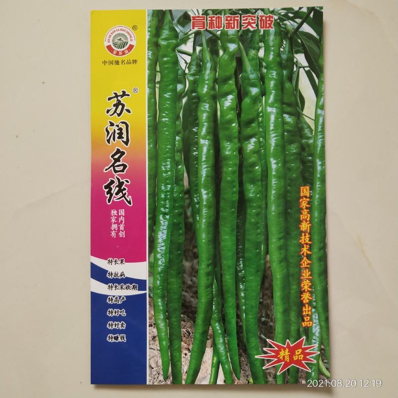 苏润名线线椒种子杂交品种原装种子