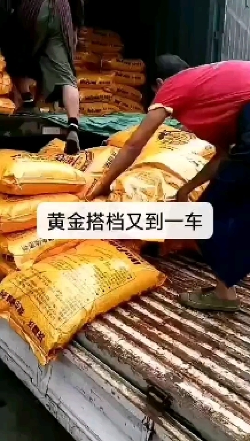 抗线虫，抗重茬，微生物菌肥，