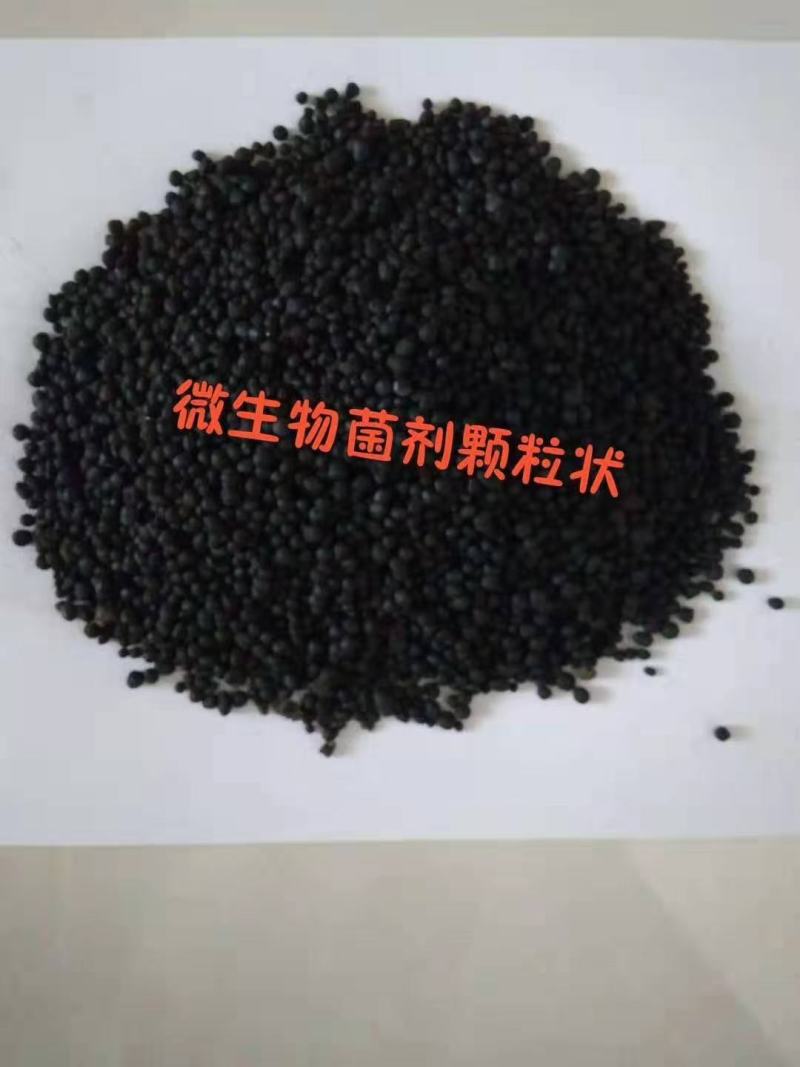 抗线虫，抗重茬，微生物菌肥，