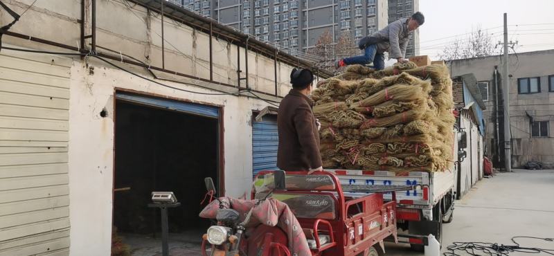 手工粉条粉丝保证质量，会场早市主流产品价格优势强