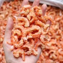 大号舟山海米海虾产地温岭口味鲜甜个头大而完整