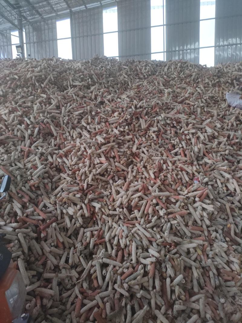 优质玉米芯货量充足质量保证欢迎咨询选购！！！