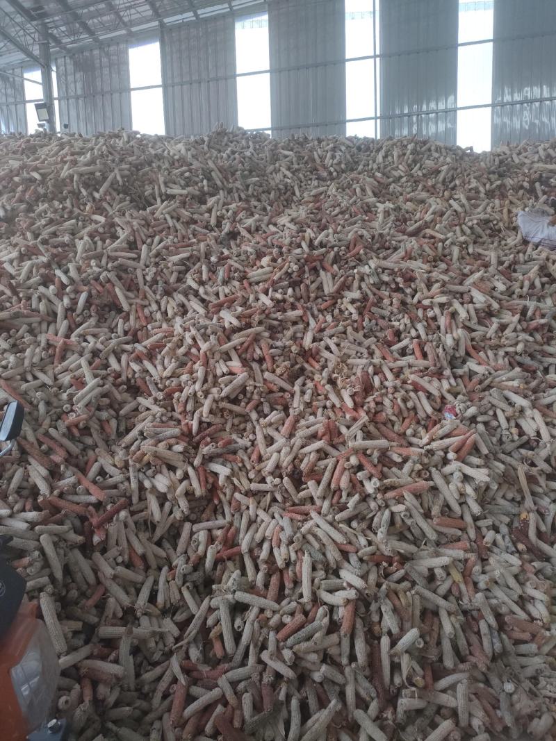 优质玉米芯货量充足质量保证欢迎咨询选购！！！