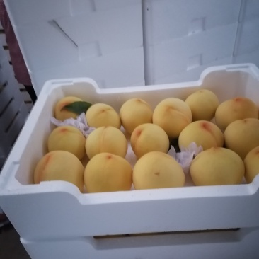 甜黄金桃子