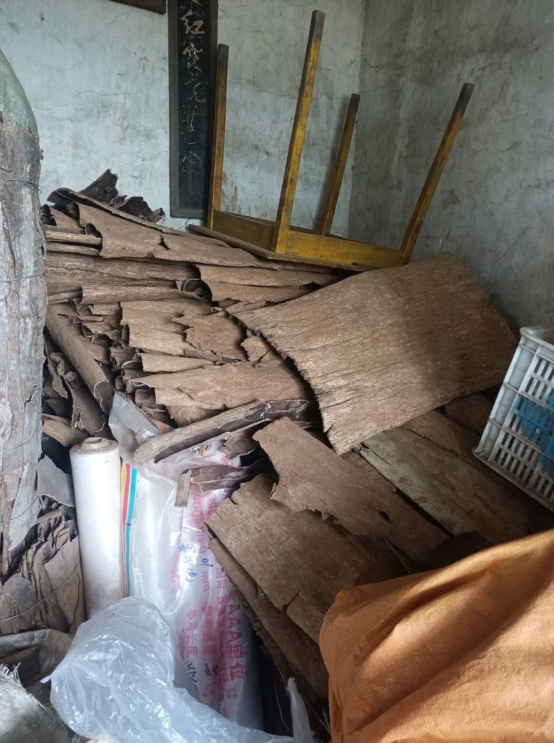 刮皮杜仲厚度1.5mm树龄20年左右统货