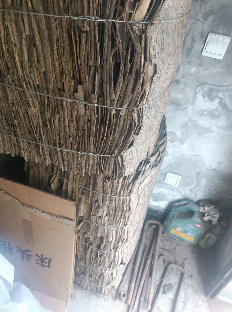 刮皮杜仲厚度1.5mm树龄20年左右统货