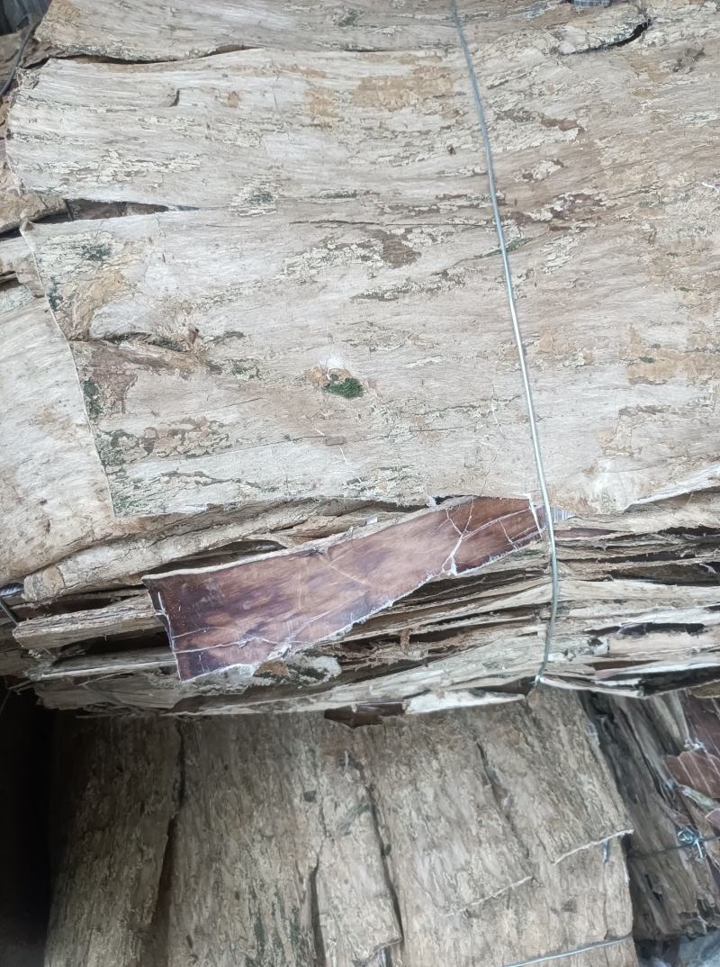 刮皮杜仲厚度1.5mm树龄20年左右统货