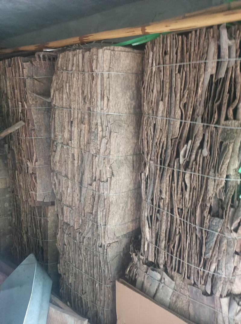 刮皮杜仲厚度1.5mm树龄20年左右统货