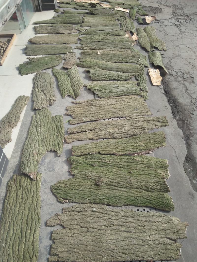 刮皮杜仲厚度1.5mm树龄20年左右统货