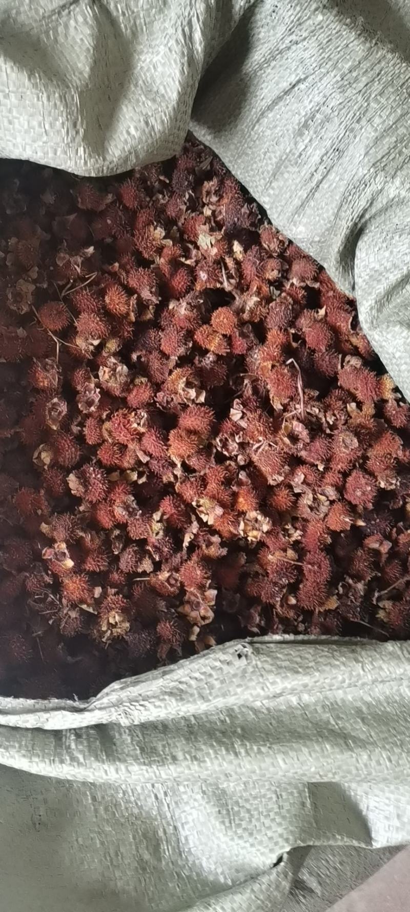 刺梨干果泡酒贵州特产