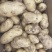 土豆、荷兰土豆、