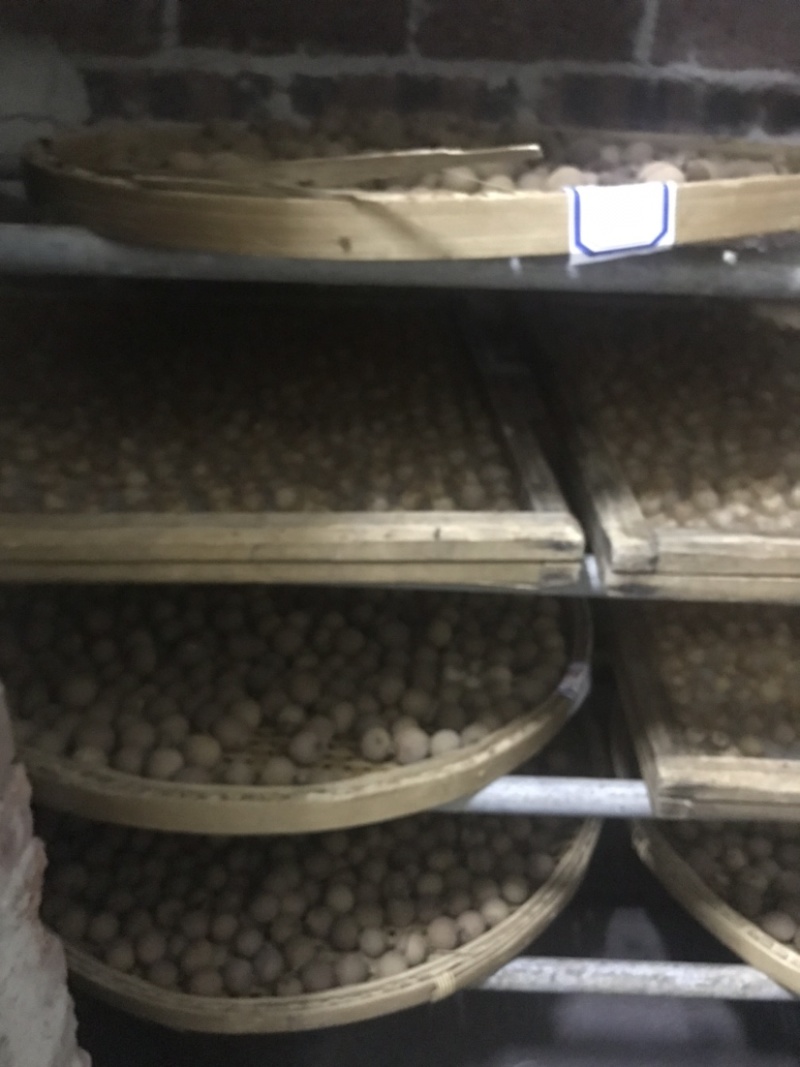 正宗高州储良龙眼桂圆干