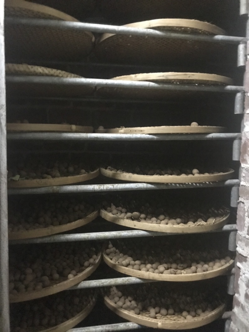 正宗高州储良龙眼桂圆干
