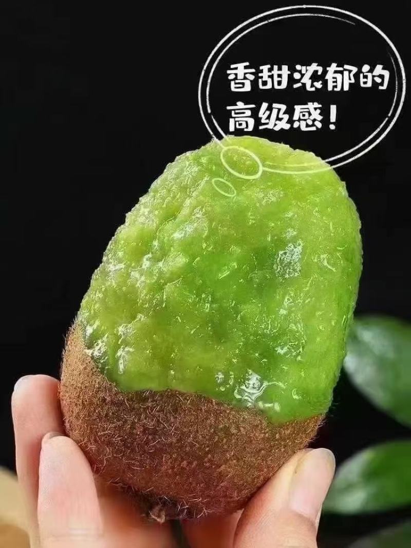 陕西周至翠香猕猴桃口感细腻，果园自发，当天发货