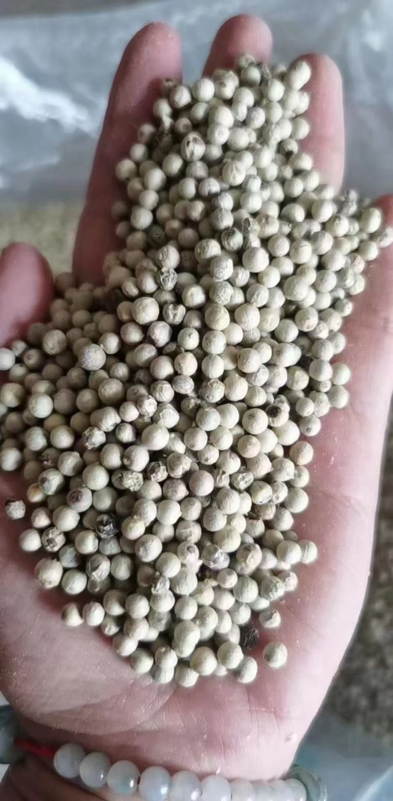 白胡椒(包邮)，3斤起批发，零售量大从优