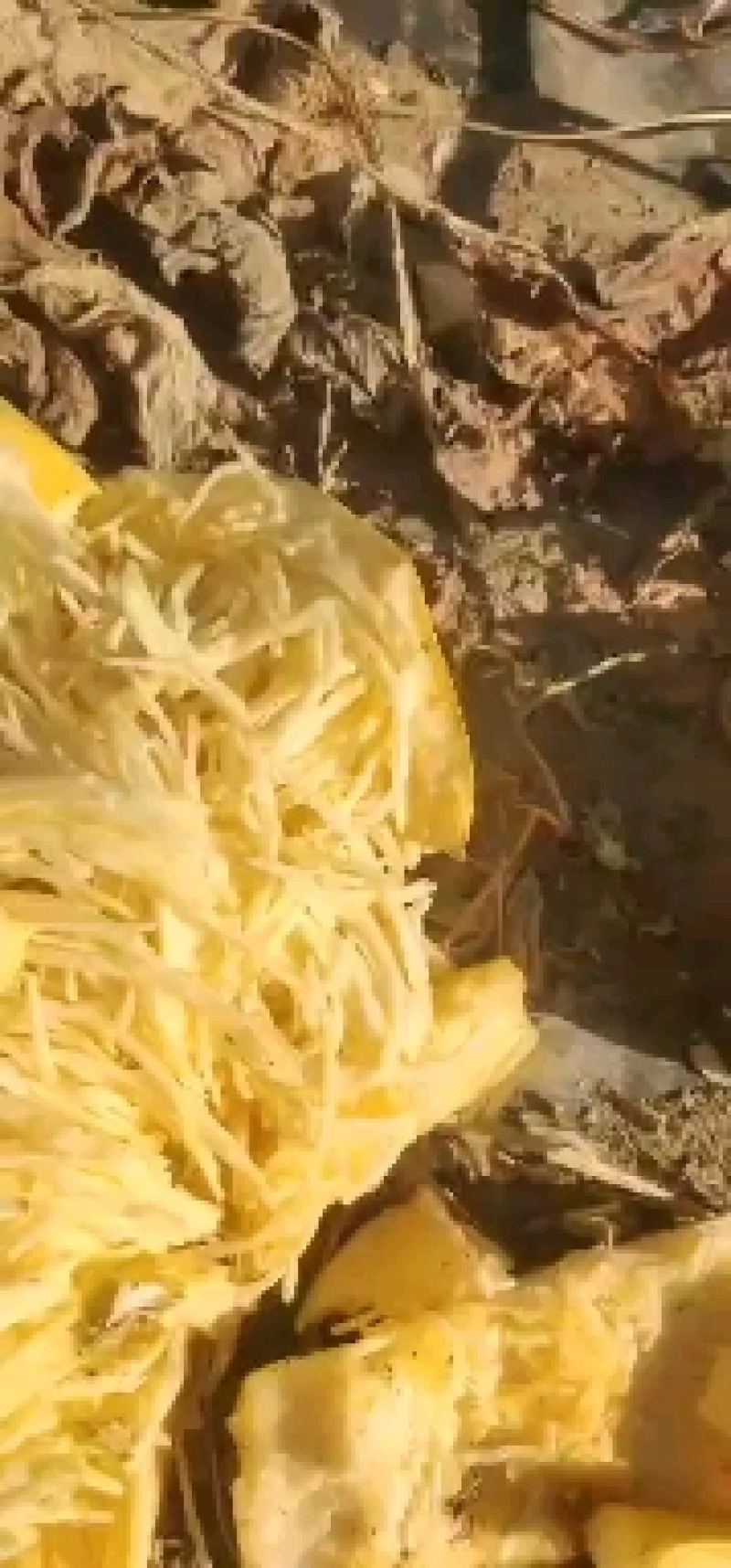 金丝搅瓜（圆瓜）