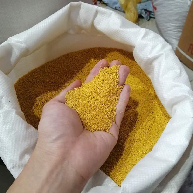 蔚州贡米批发（黄小米）新米油多批发价包邮地头发货小米包邮