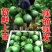 绿宝甜瓜大量现货！发李甜瓜主产地！支持全网一件代发代购