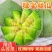 绿宝甜瓜大量现货支持全国代发代购！线上线下均可一件代发