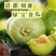 绿宝甜瓜大量现货支持全国代发代购！线上线下均可一件代发