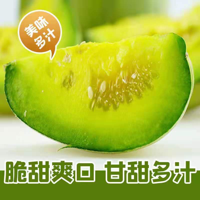 绿宝甜瓜大量现货支持全国代发代购！线上线下均可一件代发